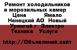 Ремонт холодильников и морозильных камер › Цена ­ 500 - Ямало-Ненецкий АО, Новый Уренгой г. Электро-Техника » Услуги   